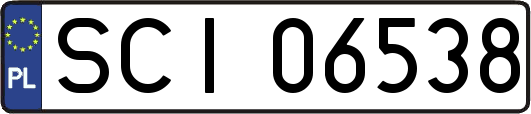 SCI06538