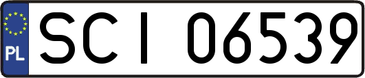 SCI06539