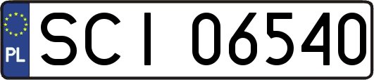SCI06540