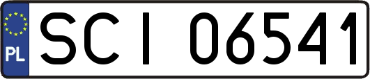 SCI06541