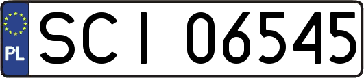 SCI06545