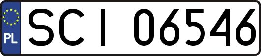 SCI06546