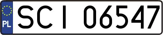 SCI06547