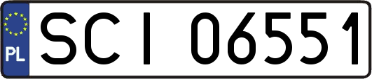 SCI06551