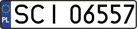 SCI06557