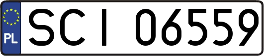 SCI06559