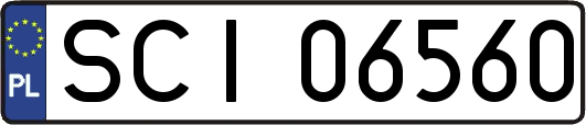 SCI06560
