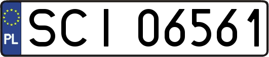 SCI06561