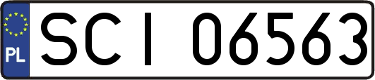 SCI06563