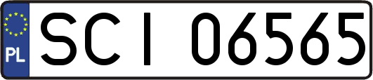 SCI06565