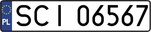 SCI06567
