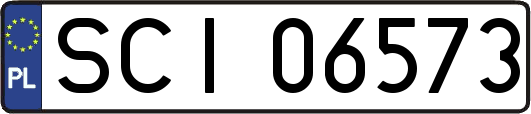SCI06573