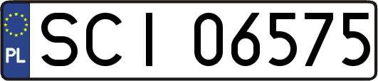 SCI06575