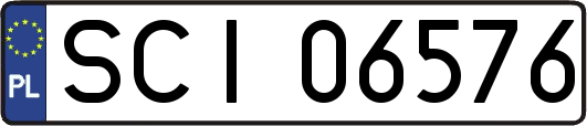 SCI06576