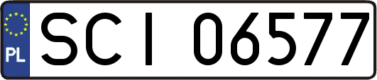 SCI06577