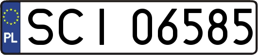 SCI06585