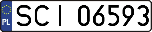 SCI06593