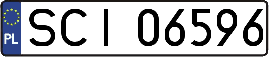 SCI06596
