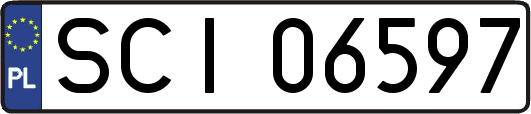 SCI06597