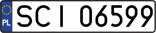 SCI06599