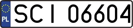 SCI06604