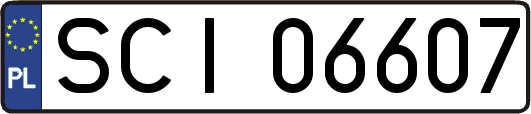 SCI06607