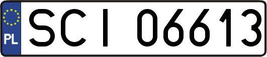 SCI06613