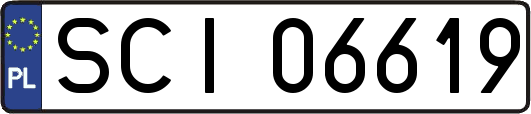 SCI06619