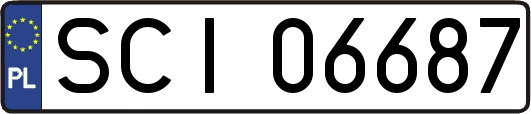 SCI06687