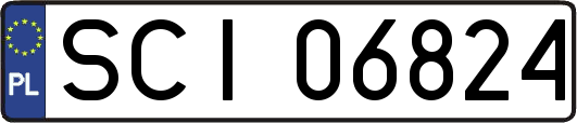 SCI06824