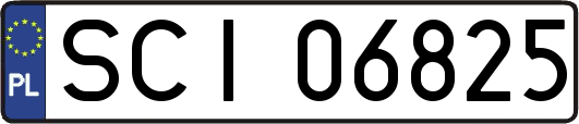 SCI06825