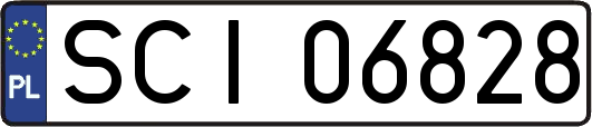 SCI06828
