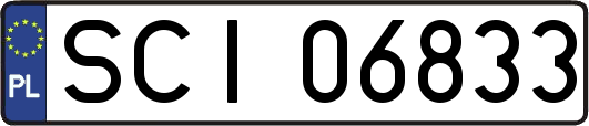 SCI06833