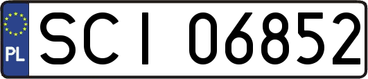 SCI06852