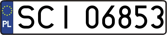 SCI06853