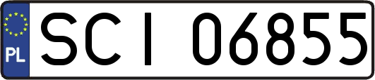 SCI06855
