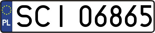 SCI06865