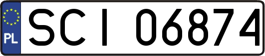 SCI06874