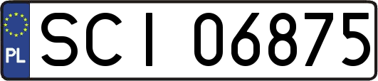 SCI06875