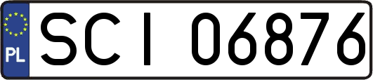 SCI06876