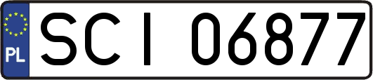 SCI06877