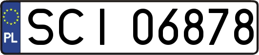 SCI06878