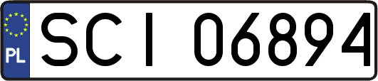 SCI06894