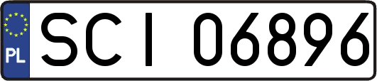 SCI06896