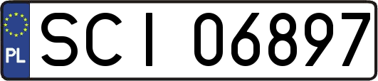 SCI06897