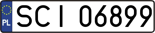 SCI06899