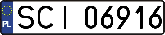 SCI06916