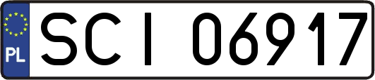 SCI06917