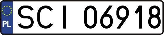 SCI06918
