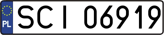 SCI06919